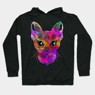 Cute Cat Colorful Gift Hoodie